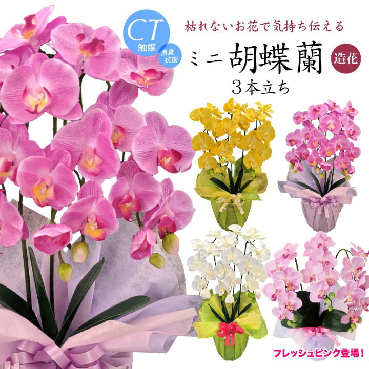 楽天市場 ミニ 胡蝶蘭 3本立 造花 お祝い Mini Ct触媒 光触媒 母の日 花 ギフト プレゼント 誕生日 開店 開院祝い お見舞い アートフラワー Md Kd フェイクグリーンの神戸花物語
