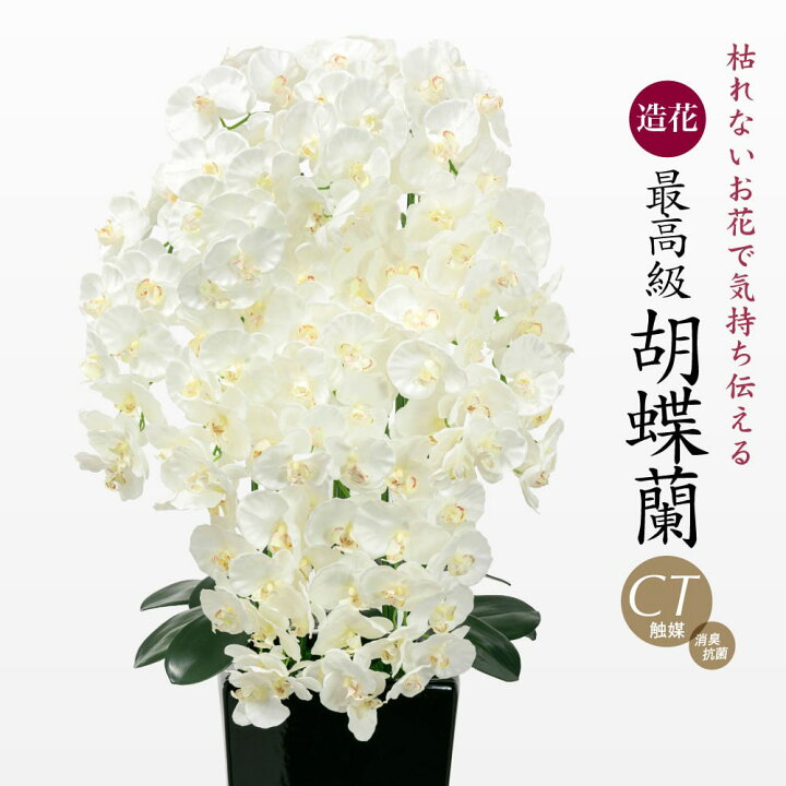 楽天市場】お祝い お供え 花 造花 胡蝶蘭 御祝 御供 光触媒 開店祝い  