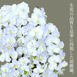 最高級胡蝶蘭ホワイト11本立ち【送料無料】【アーティフィシャルフラワー造花】(光触媒より優れたCT触媒/SC触媒/インテリア/お祝い)【楽ギフ_包装】【楽ギフ_のし】【楽ギフ_のし宛書】【楽ギフ_メッセ】【楽ギフ_メッセ入力】