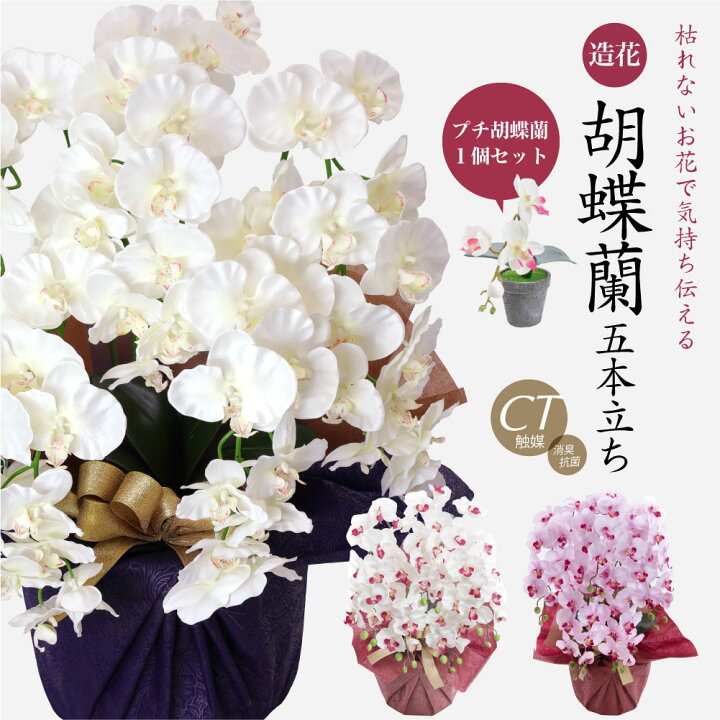 楽天市場】胡蝶蘭 造花 大輪 5本立ち プチ胡蝶蘭1個付き セット 花 
