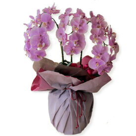 ハイグレード胡蝶蘭 3本立ち ピンク 造花 アーティフィシャルフラワー SC/CT触媒 光触媒 開業 開院 お祝い