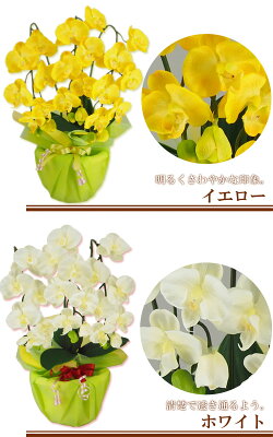 【RCP】【Mini★小さいサイズ】胡蝶蘭ラベンダーホワイト3本立ち【送料無料】【アーティフィシャルフラワー造花】(光触媒より優れたCT触媒/SC触媒/インテリア/お祝い)【楽ギフ_包装】【楽ギフ_のし】【楽ギフ_のし宛書】【楽ギフ_メッセ】【楽ギフ_メッセ入力】