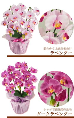 【RCP】【Mini★小さいサイズ】胡蝶蘭ラベンダーホワイト3本立ち【送料無料】【アーティフィシャルフラワー造花】(光触媒より優れたCT触媒/SC触媒/インテリア/お祝い)【楽ギフ_包装】【楽ギフ_のし】【楽ギフ_のし宛書】【楽ギフ_メッセ】【楽ギフ_メッセ入力】