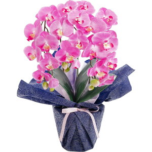 _10%OFFN[|^ `11/27 1:59 Ӓ  j  v[g Mtg G} j 䋟 JXj  CTG} L A[eBtBVt[ zCg sN a bs