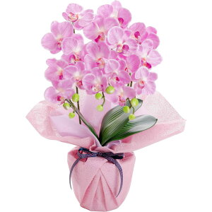 _10%OFFN[|^ Ӓ  j  v[g Mtg G} j 䋟 JXj  CTG} L A[eBtBVt[ zCg sN a bsO b