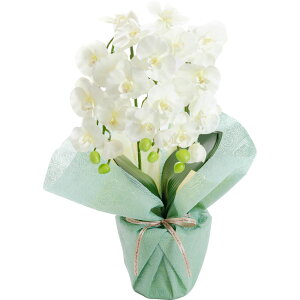 _N[|10%OFF^ Ӓ  j  v[g Mtg G} j 䋟 JXj  CTG} L A[eBtBVt[ zCg sN a bsO bZ