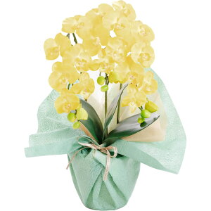 _10%OFFN[|^ Ӓ  j  v[g Mtg G} j 䋟 JXj  CTG} L A[eBtBVt[ zCg sN a bsO b