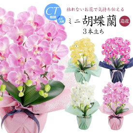 胡蝶蘭 造花 お祝い お供え プレゼント ギフト 光触媒 御祝 御供 開店祝い お見舞い CT触媒 消臭 アーティフィシャルフラワー ホワイト ピンク イエロー 敬老の日 誕生日 ラッピング メッセージカード 母の日 送料無料 [whd][md][kd][rcp] / ミニ 胡蝶蘭 3本立ち
