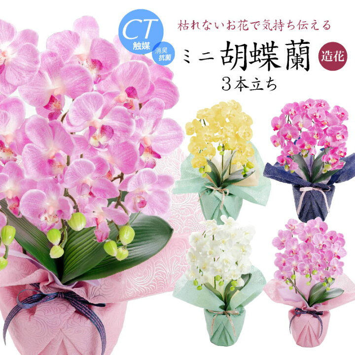 楽天市場】胡蝶蘭 造花 お供え お祝い 花 光触媒 御祝 御供 御供え花 