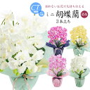 胡蝶蘭 造花 お祝い お供え プレゼント ギフト 光触媒 御祝 御供 開店祝い お見舞い CT触媒 消臭 アーティフィシャルフラワー ホワイト ピンク イエロー 敬老の日 誕生日 ラッピング メッセージカード 母の日 送料無料 [whd][md][kd][rcp] / ミニ 胡蝶蘭 3本立ち