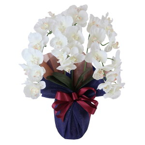 _10%OFFN[|^ `12/11 1:59 Ӓ j  ̓   G} Mtg v[g JXj A[eBtBVt[ a x_[ zCg   sN 