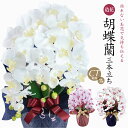 胡蝶蘭 お祝い お供え 母の日 花 造花 光触媒 ギフト プレゼント 開店祝い アーティフィシャルフラワー 誕生日 ラベンダー ホワイト 白 お見舞い ピンク メッセージカード ラッピング 開業祝い 法事 送料無料 [whd][md][kd][rcp] / 胡蝶蘭 コチョウラン 大輪 3本立ち