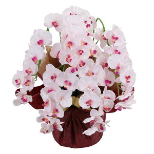 _N[|10%OFF^ `11/11 1:59 Ӓ  G} j   JXj Mtg v[g A[eBtBVt[ a x_[ zCg   sN bZ[WJ