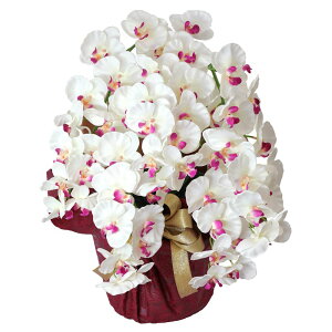 Ӓ   5{ v`Ӓ1t Zbg  Mtg v[g j CTG} G} a JX J@j  EGfBO A[gt[ x_[ zCg ̓ [wh