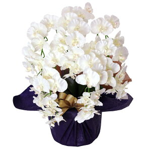 _10%OFFN[|^ Ӓ   5{ v`Ӓ1t Zbg  Mtg v[g j CTG} G} a JX J@j  EGfBO A[gt[ x