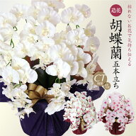 ＼5%OFFクーポンあり／ 胡蝶蘭 造花 光触媒 お祝い お供え 花 開店祝い ギフト プレゼント アーティフィ…