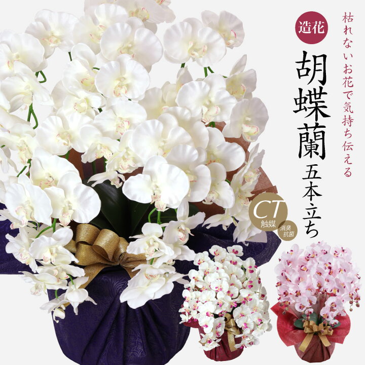 楽天市場】胡蝶蘭 造花 光触媒 お祝い お供え 花 開店祝い ギフト 