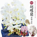 胡蝶蘭 造花 光触媒 お祝い お供え 花 開店祝い ギフト プレゼント アーティフィシャルフラワー 誕生日 ラベンダー ホワイト 白 お見舞い ピンク メッセージカード ラッピング 開業祝い 法事 母の日 送料無料 [whd][md][kd][rcp] / 胡蝶蘭 コチョウラン 大輪 5本立ち