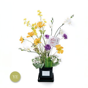 A[eBtBVt[ v[g  Mtg  AW t[AWg j  bZ[WJ[h 킢 CeA a  j hV̓ / HiRX