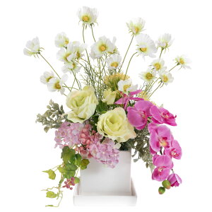 _10%OFFN[|^ A[eBtBVt[ v[g  Mtg  AW t[AWg j   bZ[WJ[h 킢 CeA a  