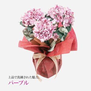  A Mtg A[eBtBVt[ z   CTG} G} nChWA a  A[gt[ v[g ̓ [whd][md][kd][rcp] / 3FIׂ 