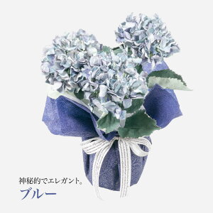  A Mtg A[eBtBVt[ z   CTG} G} nChWA a  A[gt[ v[g ̓ [whd][md][kd][rcp] / 3FIׂ 