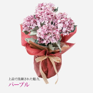  A Mtg A[eBtBVt[ z   CTG} G} nChWA a  A[gt[ v[g ̓ [whd][md][kd][rcp] / 3FIׂ 