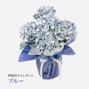  A Mtg A[eBtBVt[ z   CTG} G} nChWA a  A[gt[ v[g ̓ [whd][md][kd][rcp] / 3FIׂ 