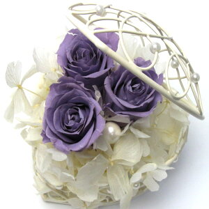 _10%OFFN[|^ vU[uht[  n[gWG[ x_[ Mtg 蕨 j  [rcp]