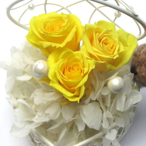 _10%OFFN[|^ vU[uht[  n[gWG[ ~UCG[ Mtg 蕨 j  [rcp]