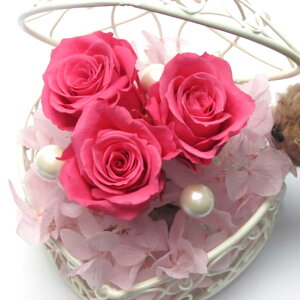 _10%OFFN[|^ vU[uht[  n[gWG[ t{[Y Mtg 蕨 j  [rcp]