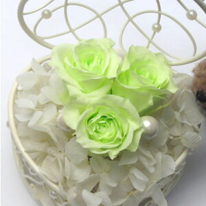 _10%OFFN[|^ vU[uht[  n[gWG[ tbVO[ Mtg 蕨 j  [rcp]