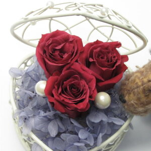 _10%OFFN[|^ vU[uht[  n[gWG[ [WsN Mtg 蕨 j  [rcp]