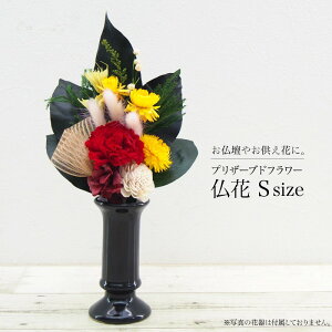   vU[uht[  AWg hCt[ 䋟 䋟 Mtg  bZ[W ~ ފ   蕨 ~ @v @ ~j dp zCg   