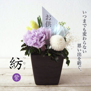~    AWg vU[uh t[  vU[uht[ 䋟 䋟 Mtg dp ~j ފ   bZ[W 蕨 ~ @v @ A[gt