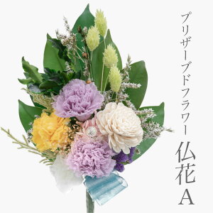   vU[uht[  AWg hCt[ 䋟 䋟 Mtg  bZ[W ~ ފ   蕨 ~ @v @ ~j dp zCg  s