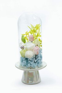 ~  vU[uht[   KXh[ AWg 䋟 Mtg  ފ   蕨 ~ V~ @v @    l\    