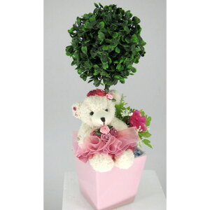  Mtg v[g gsA[xA P[ A[eBtBVt[  CTG} G} CeA j ̓ [whd][md][rcp]