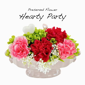 vU[uht[  Mtg  n[eBp[eB J[l[V AWg 蕨 v[g ̓ [whd][md][kd][rcp]