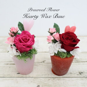 vU[uht[ Mtg  n[eB[bNXx[X bh/sN 蕨 j v[g ̓ [whd][md][kd][rcp]