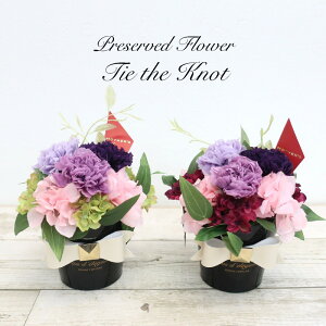 vU[uht[  Mtg  ^CEUEmbg sN/bh J[l[V 蕨 j v[g ̓ [whd][md][kd][rcp]