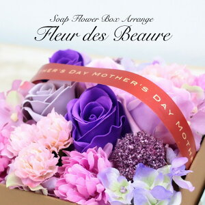 \[vt[  v[g  Mtg  t[{bNX BOXAW t[EfEr 蕨 j ̓ [whd][md][kd]