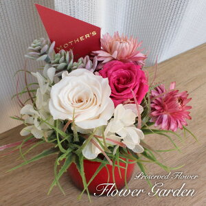 vU[uht[  Mtg A[eBtBVt[ AW  蕨 j KN o  킢 a v[g ̓ [whd][md][kd][rcp] / t[K[f NA