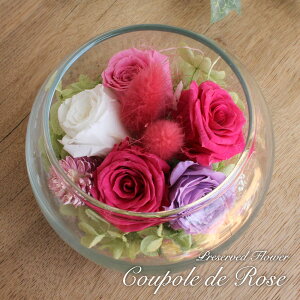 vU[uht[ KX  Mtg P[X KXh[ Ԋ A[eBtBVt[ \[[t[ AW  蕨 j KN o  킢 a v[