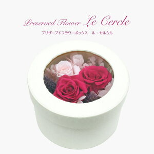 _10%OFFN[|^ vU[uht[  t[{bNX Mtg AW 蕨 j KN o [Y 킢  v[g ̓ [whd][md][kd][rcp] / {bNXt[ 