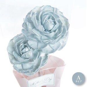 _10%OFFN[|^ \t[ u[P ԑ VR R f j   Mtg a vU[uht[  AW  sN zCg u[ KN o 