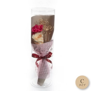 vU[uht[  {gt[ u[P j  ԑ Mtg a 킢 t[ AWg ~j P[X {bNX bZ[W J[l[V [Y v[