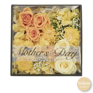 _10%OFFN[|^ vU[uht[ t[{bNX j   Mtg  a AW  t[AWg z [Y JX~\E o sN 