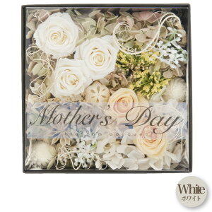 vU[uht[ t[{bNX j   Mtg  a AW  t[AWg z [Y JX~\E o sN zCg CG[ v