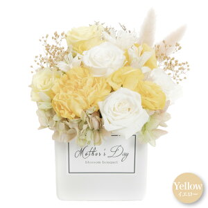 _10%OFFN[|^ vU[uht[ j    Mtg  a ͂Ȃ AW ̂܂   t[AWg sN zCg KN 